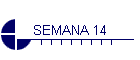 SEMANA 14