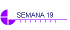 SEMANA 19