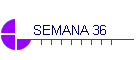 SEMANA 36